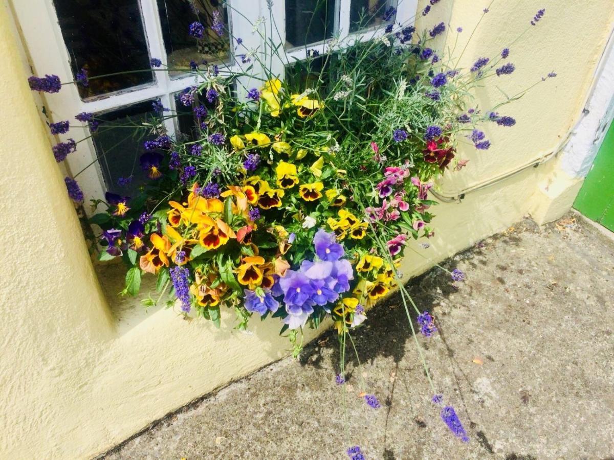 The Tower House B&B Thomastown  Exteriér fotografie