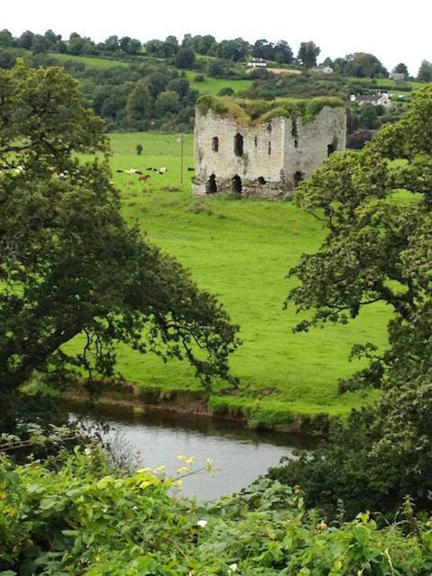 The Tower House B&B Thomastown  Exteriér fotografie